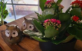 Pension Miss Sophie